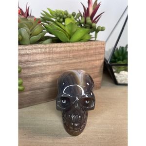Druzy Agate Skull Carving Druzy Pocket Polished Crystal